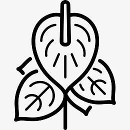 红掌图标
