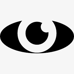 眼球图标
