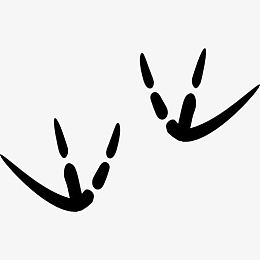 鸟类足迹图标