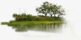 野生湿地公园湖边