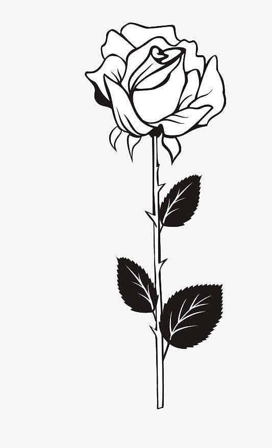 手绘黑色线条玫瑰装饰