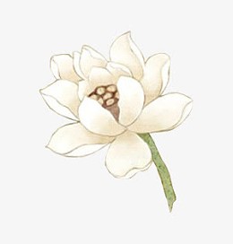 手绘白色复古莲花