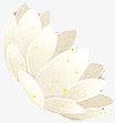 手绘白色文艺莲花