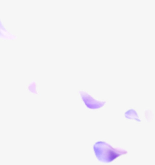 紫色花瓣高贵气质