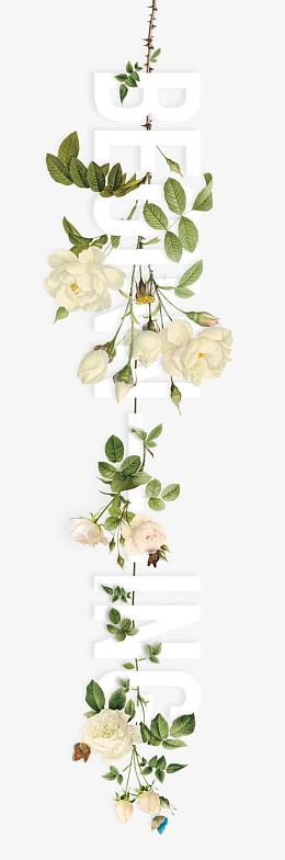 美丽字母创意植物