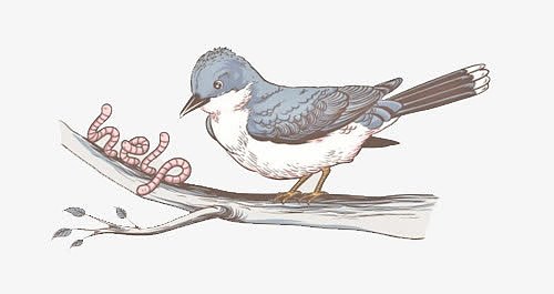 鸟儿吃虫子手绘可爱