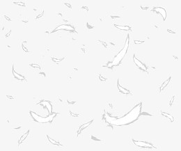 白色卡通羽毛创意