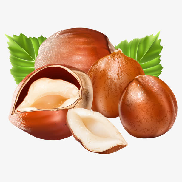 板栗食物素材图片