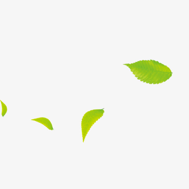 绿色树叶漂浮古风装饰