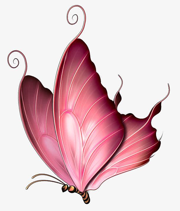 粉色靓丽卡通蝴蝶
