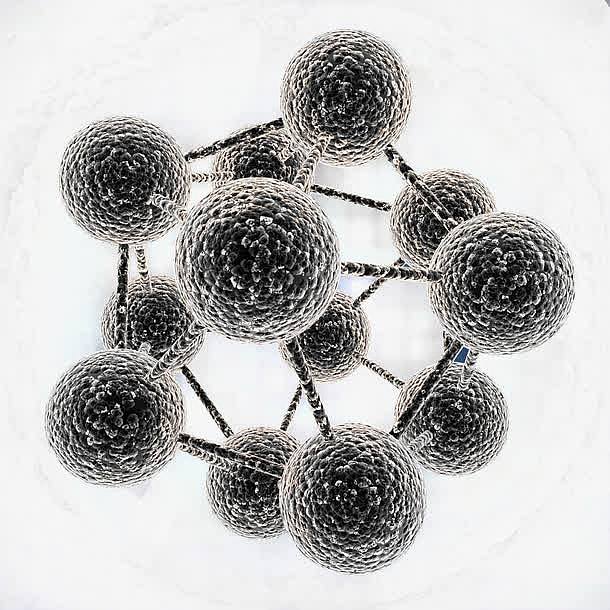 显微镜下的细胞真菌生物结构