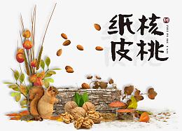 核桃松鼠海报