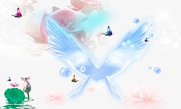 梦幻羽毛