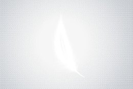 梦幻羽毛