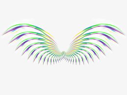 梦幻羽毛
