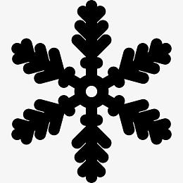 圣诞节冷冻结霜冷冻假日雪雪花冬