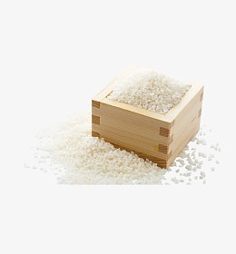 大米素材