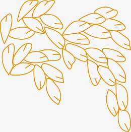 稻谷 稻米 稻穗 禾稻 大米
