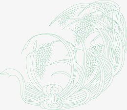 稻谷 稻米 稻穗 禾稻 大米