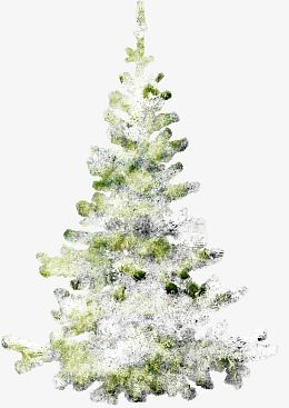 冰雪覆盖的松树