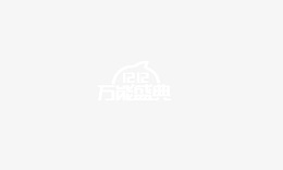 1212万能盛典