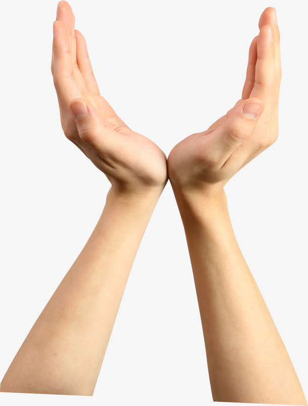 高清白色手掌环保装饰