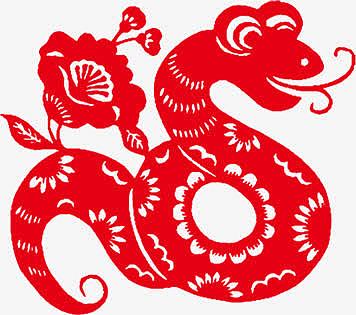aipng矢量手绘蛇aipng矢量蛇皮素材png盘绕在骷髅头上的蛇png十二生肖