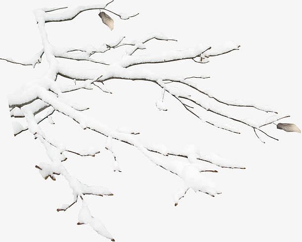 高清手绘摄影有雪花的树枝