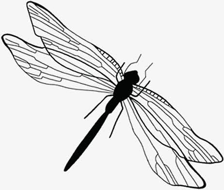 中国风水墨蜻蜓图片