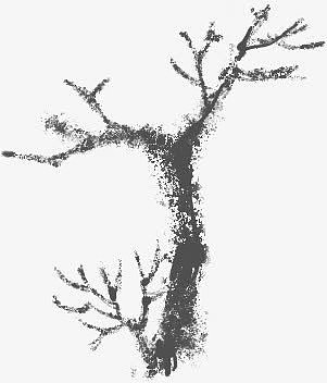 黑色手绘冬季大树