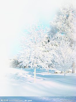 创意合成冬天的松树合成