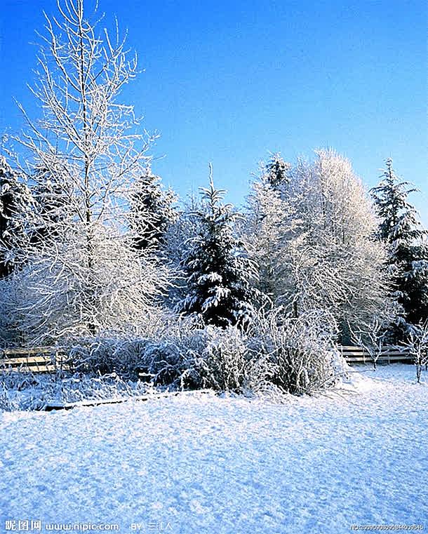 高清摄影合成冬天的森林