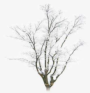 创意合成摄影冬天的树木