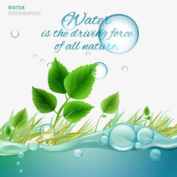 水滴与植物环保