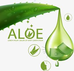 芦荟护肤品广告元素