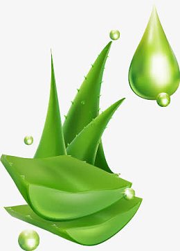 芦荟精华