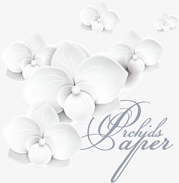 3D矢量花卉素材