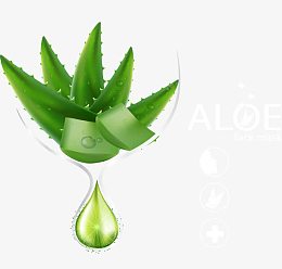 矢量芦荟精华