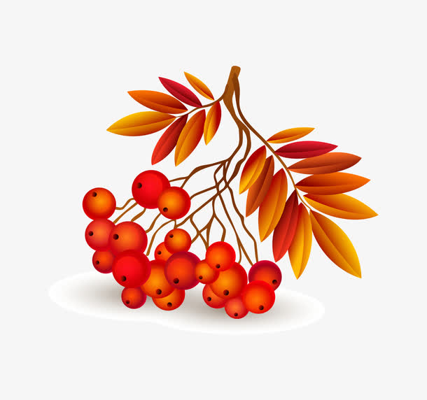 红色果实素材免抠素材免费下载_觅元素51yuansu.com