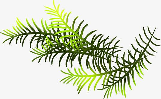 手绘缤纷圣诞节绿色植物装饰