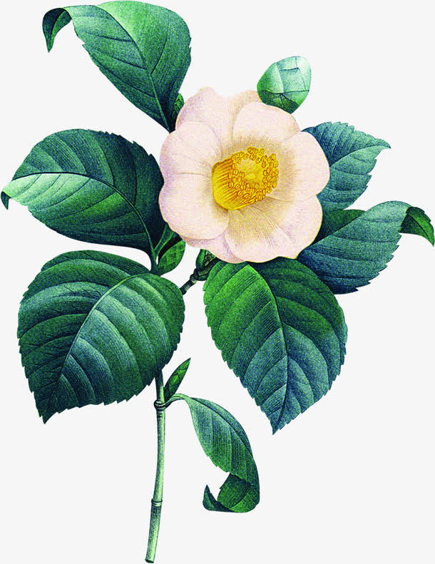 森系复古花朵设计