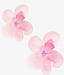 粉色水彩漂浮晕染花朵