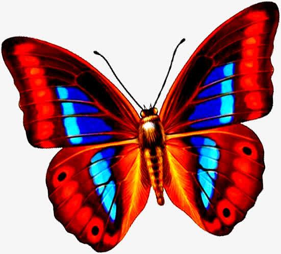手绘合成红色的飞舞的蝴蝶