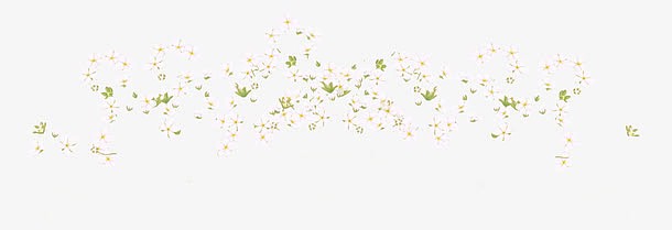 白色满天星创意植物