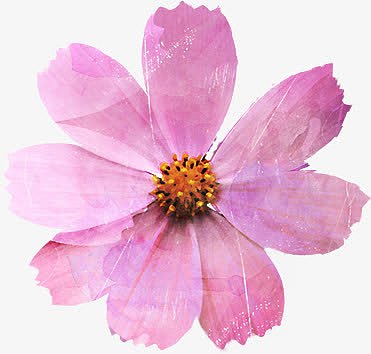 手绘水彩粉色文艺花朵