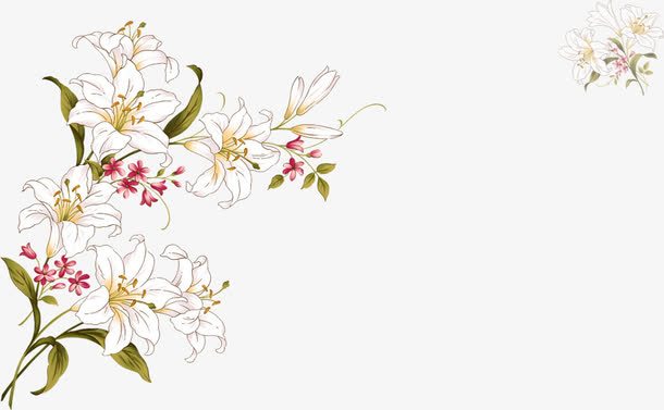 手绘百合花海报设计
