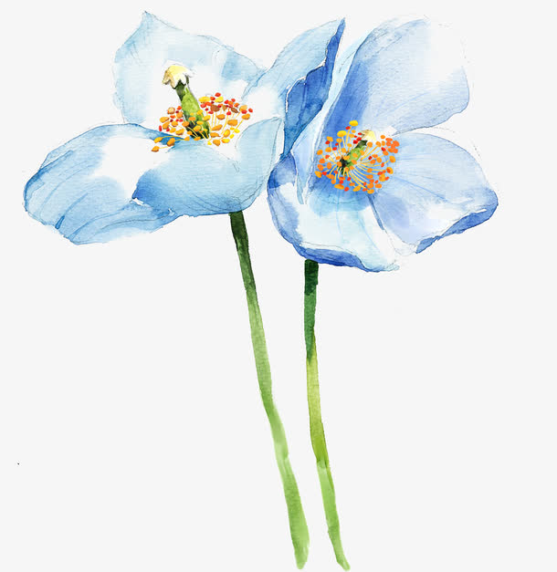 手绘淡雅花卉素材