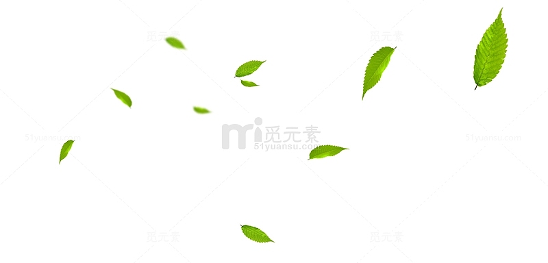 绿色叶子漂浮png素材