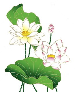 手绘卡通莲花莲蓬