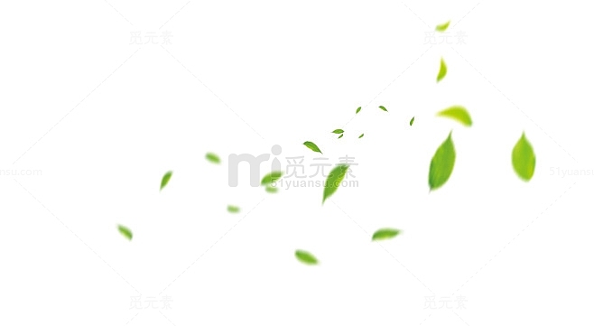 绿色树叶漂浮叶子